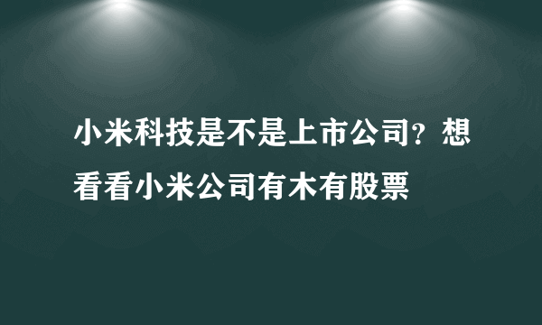 小米科技是不是上市公司？想看看小米公司有木有股票