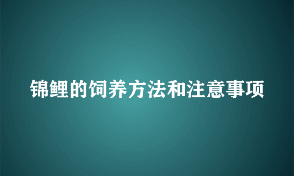 锦鲤的饲养方法和注意事项