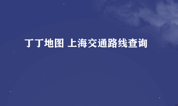 丁丁地图 上海交通路线查询