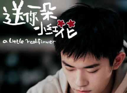 电影《送你一朵小红花》什么时候上映？你会去看吗？