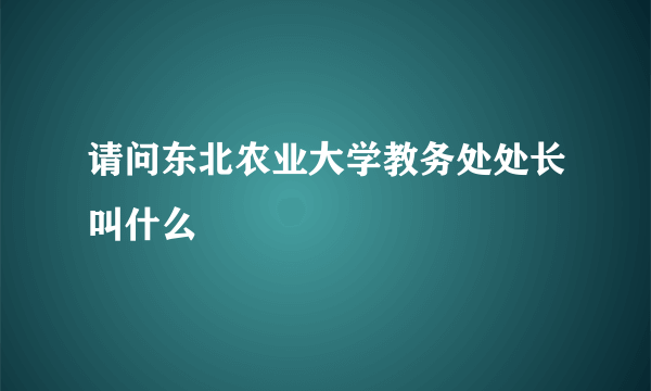 请问东北农业大学教务处处长叫什么