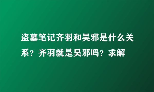 盗墓笔记齐羽和吴邪是什么关系？齐羽就是吴邪吗？求解