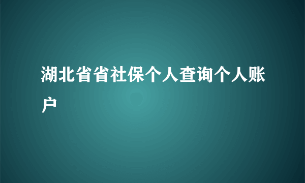 湖北省省社保个人查询个人账户