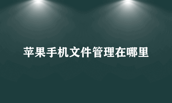 苹果手机文件管理在哪里