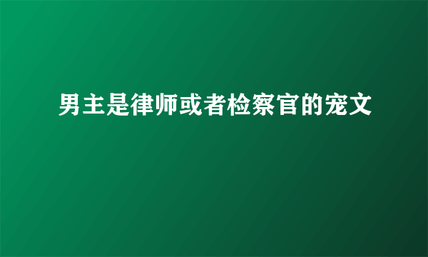 男主是律师或者检察官的宠文