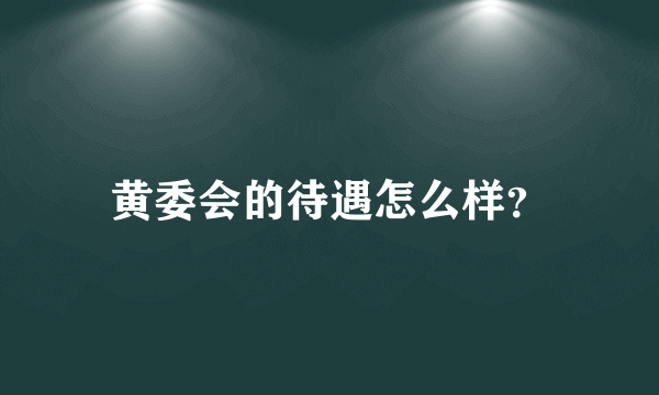 黄委会的待遇怎么样？