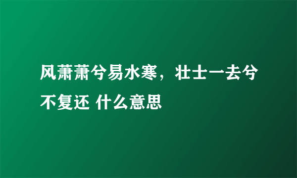 风萧萧兮易水寒，壮士一去兮不复还 什么意思