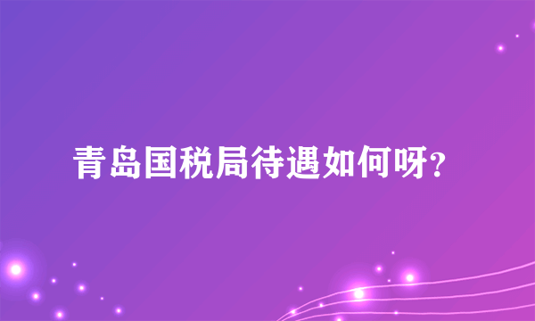 青岛国税局待遇如何呀？