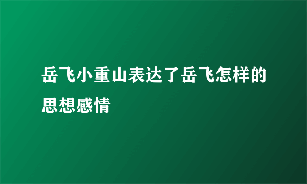 岳飞小重山表达了岳飞怎样的思想感情