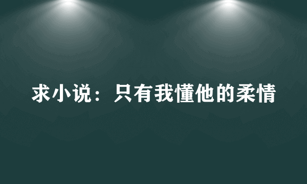 求小说：只有我懂他的柔情