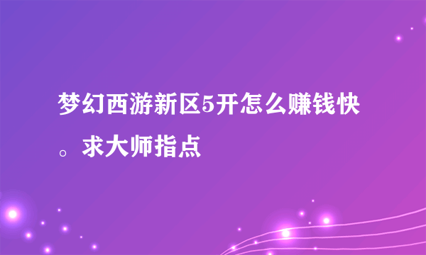 梦幻西游新区5开怎么赚钱快。求大师指点