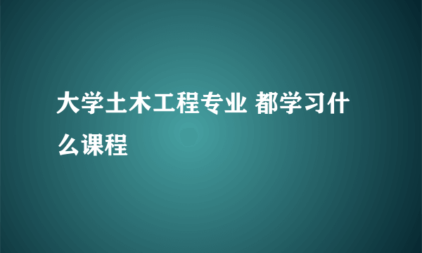 大学土木工程专业 都学习什么课程