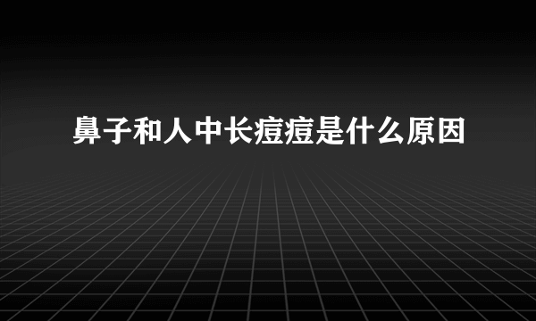 鼻子和人中长痘痘是什么原因