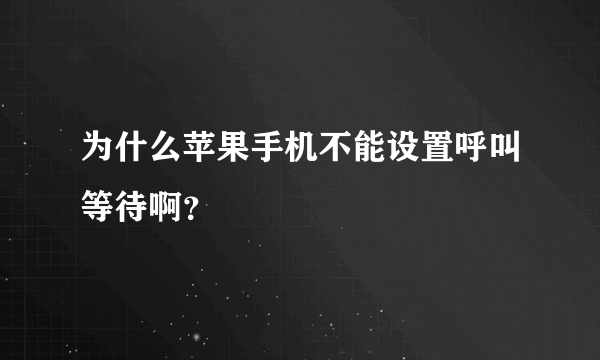 为什么苹果手机不能设置呼叫等待啊？