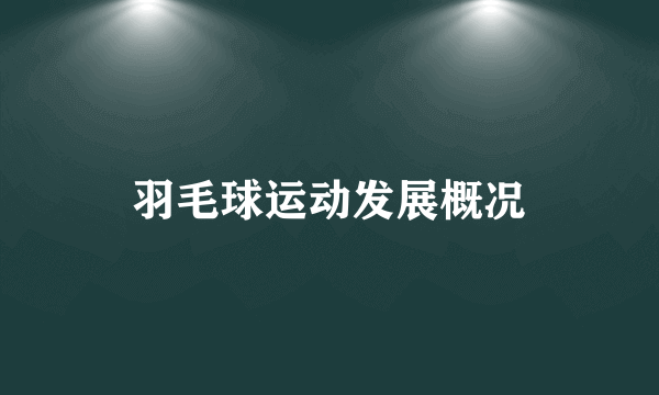 羽毛球运动发展概况