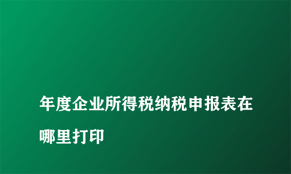 
年度企业所得税纳税申报表在哪里打印

