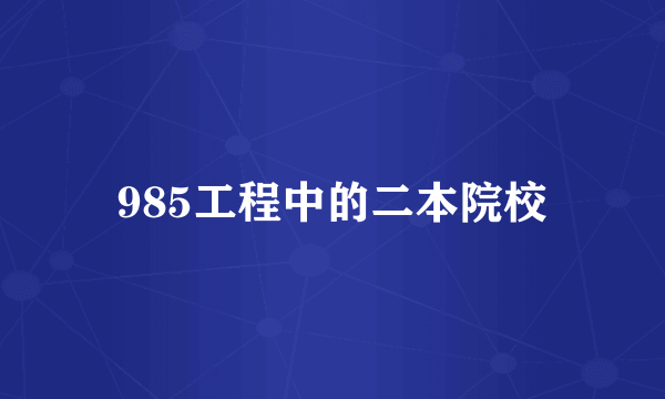 985工程中的二本院校