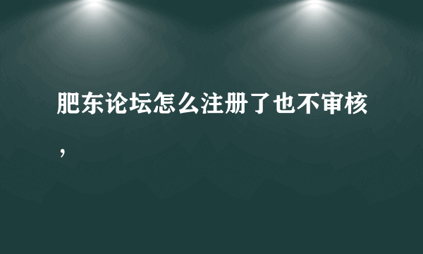 肥东论坛怎么注册了也不审核，