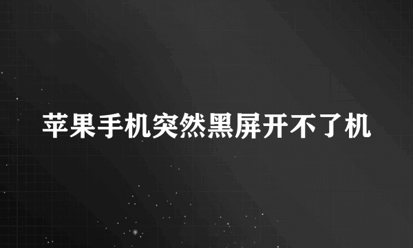 苹果手机突然黑屏开不了机