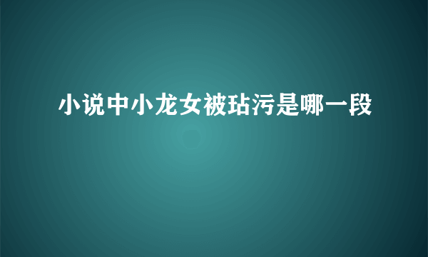 小说中小龙女被玷污是哪一段