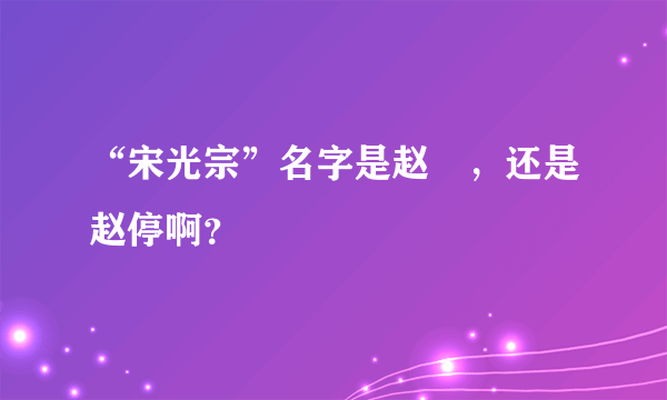 “宋光宗”名字是赵惇，还是赵停啊？