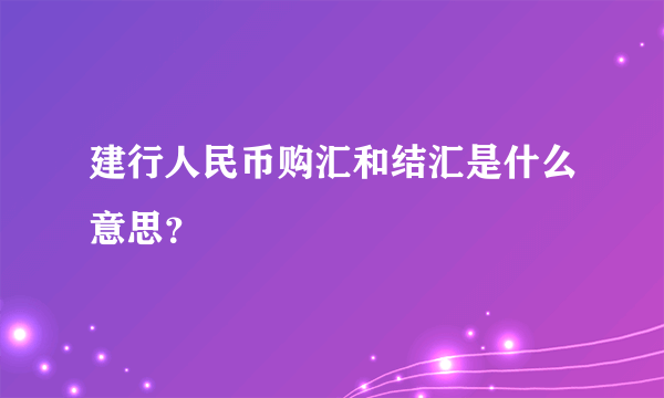 建行人民币购汇和结汇是什么意思？