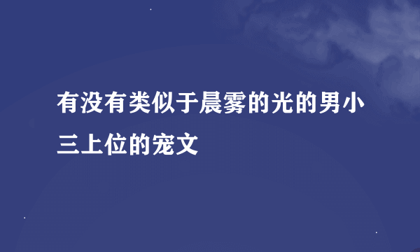 有没有类似于晨雾的光的男小三上位的宠文