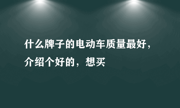 什么牌子的电动车质量最好，介绍个好的，想买