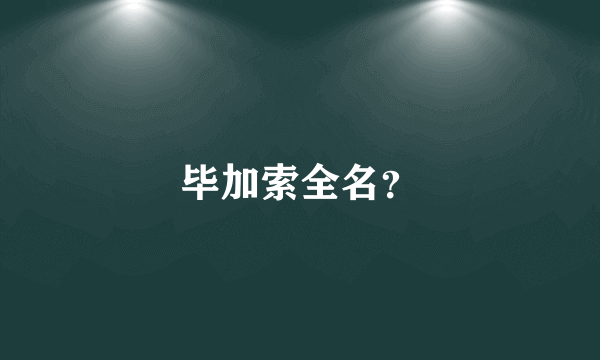 毕加索全名？