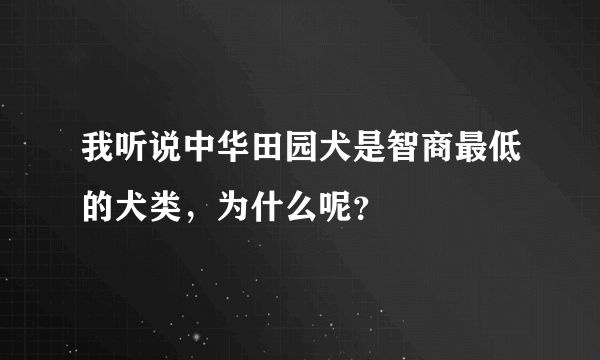 我听说中华田园犬是智商最低的犬类，为什么呢？