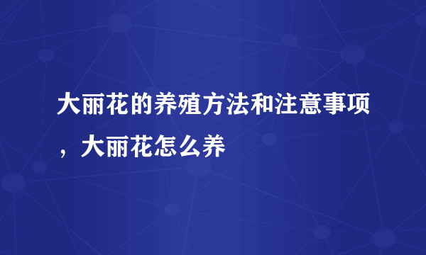 大丽花的养殖方法和注意事项，大丽花怎么养